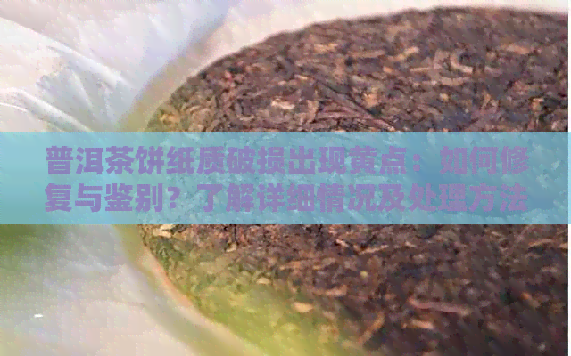 普洱茶饼纸质破损出现黄点：如何修复与鉴别？了解详细情况及处理方法