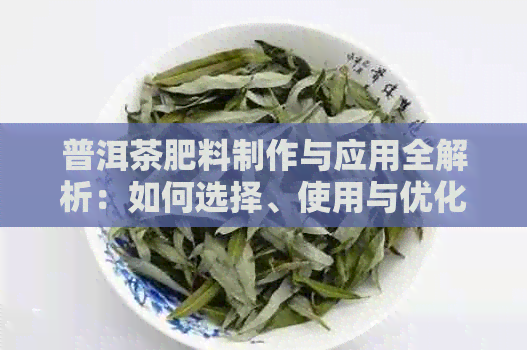 普洱茶肥料制作与应用全解析：如何选择、使用与优化以提高植物生长效果