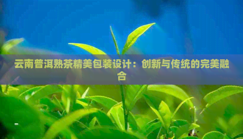 云南普洱熟茶精美包装设计：创新与传统的完美融合