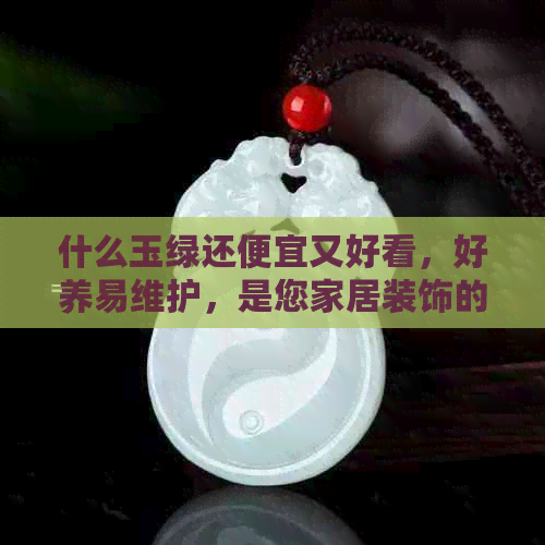 什么玉绿还便宜又好看，好养易维护，是您家居装饰的理想选择