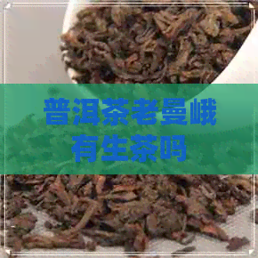 普洱茶老曼峨有生茶吗