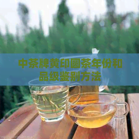 中茶牌黄印圆茶年份和品级鉴别方法