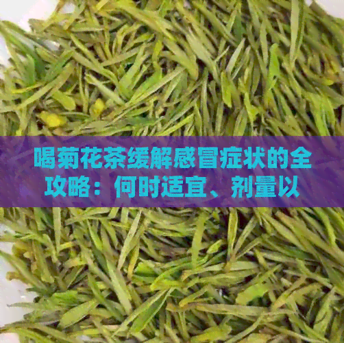 喝菊花茶缓解感冒症状的全攻略：何时适宜、剂量以及注意事项