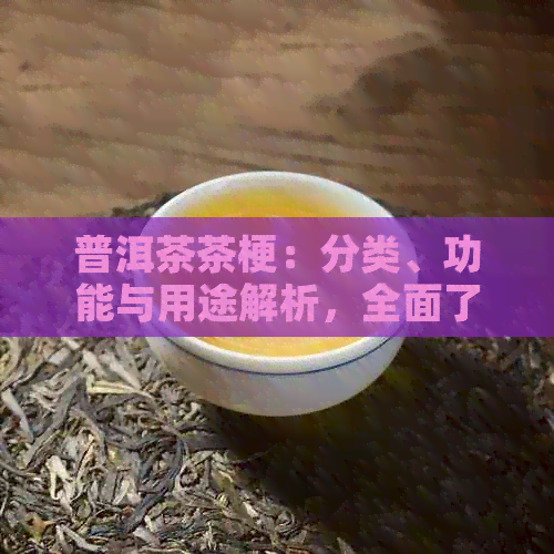 普洱茶茶梗：分类、功能与用途解析，全面了解茶梗的奥秘