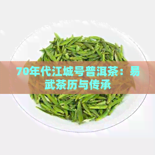 70年代江城号普洱茶：易武茶历与传承