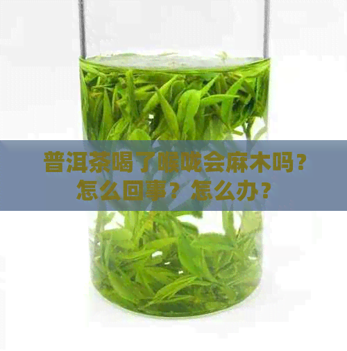 普洱茶喝了喉咙会麻木吗？怎么回事？怎么办？