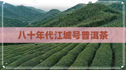 八十年代江城号普洱茶