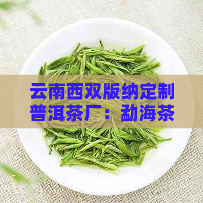 云南西双版纳定制普洱茶厂：勐海茶叶加工与详情
