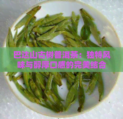 巴达山古树普洱茶：独特风味与醇厚口感的完美结合