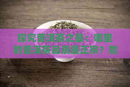 探究普洱茶之最：哪里的普洱茶品质最正宗？如何选购地道普洱茶？