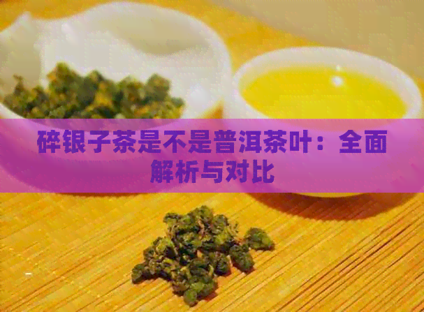 碎银子茶是不是普洱茶叶：全面解析与对比