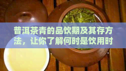 普洱茶青的品饮期及其存方法，让你了解何时是饮用时机