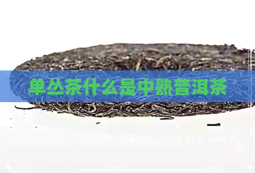 单丛茶什么是中熟普洱茶