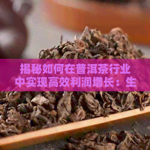 揭秘如何在普洱茶行业中实现高效利润增长：生意经营的秘诀与策略