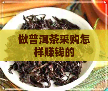 做普洱茶采购怎样赚钱的