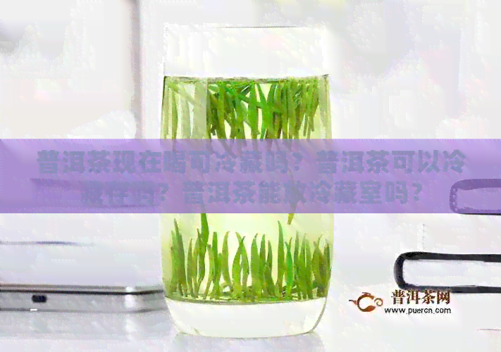 普洱茶现在喝可冷藏吗？普洱茶可以冷藏存吗？普洱茶能放冷藏室吗？