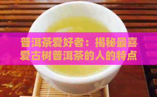 普洱茶爱好者：揭秘最喜爱古树普洱茶的人的特点与品味