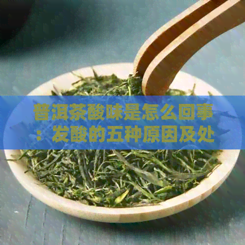 普洱茶酸味是怎么回事：发酸的五种原因及处理建议