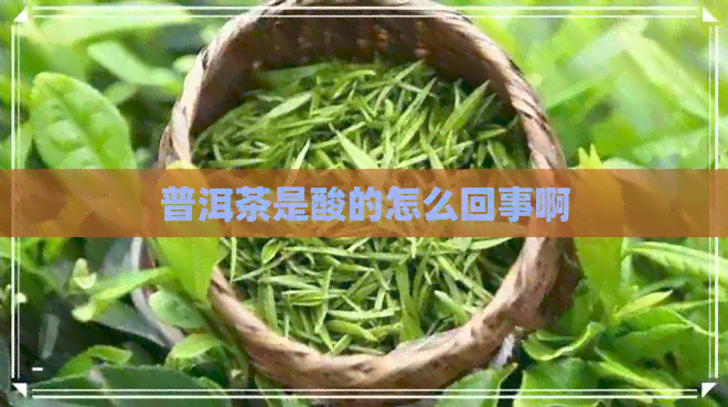 普洱茶是酸的怎么回事啊