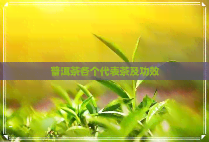 普洱茶各个代表茶及功效