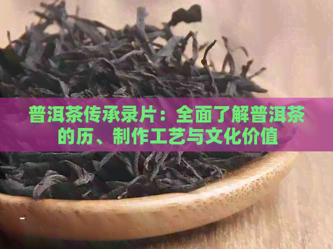 普洱茶传承录片：全面了解普洱茶的历、制作工艺与文化价值