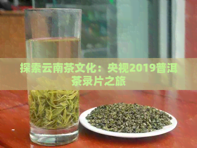 探索云南茶文化：央视2019普洱茶录片之旅