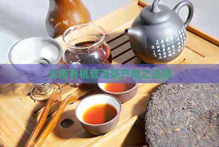 云南有机普洱茶产地之选择