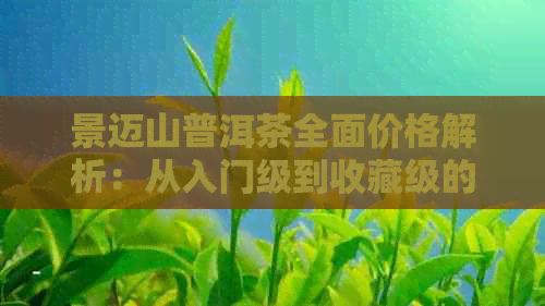 景迈山普洱茶全面价格解析：从入门级到收藏级的各种价位茶叶一览