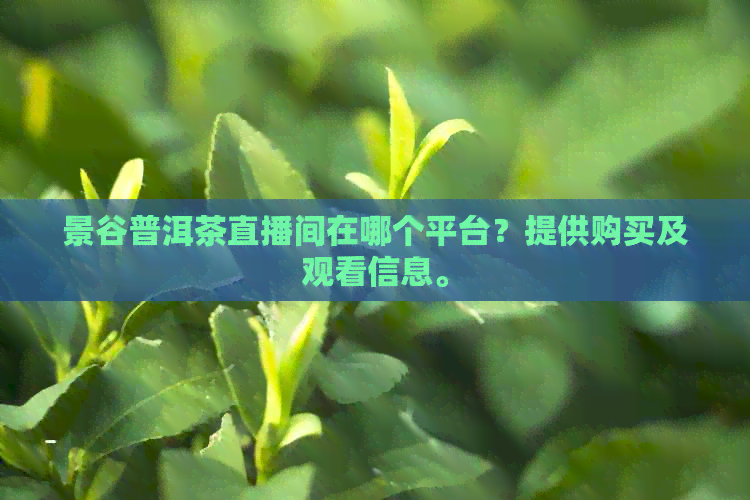 景谷普洱茶直播间在哪个平台？提供购买及观看信息。