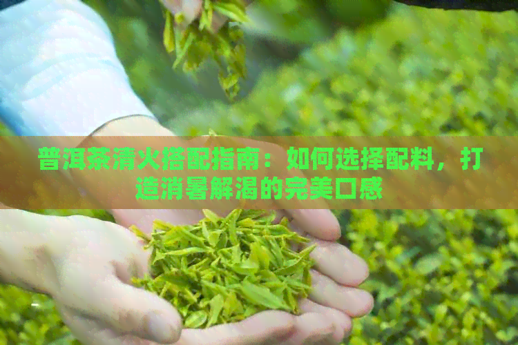 普洱茶清火搭配指南：如何选择配料，打造消暑解渴的完美口感