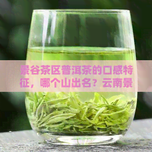 景谷茶区普洱茶的口感特征，哪个山出名？云南景谷普洱茶怎么样？