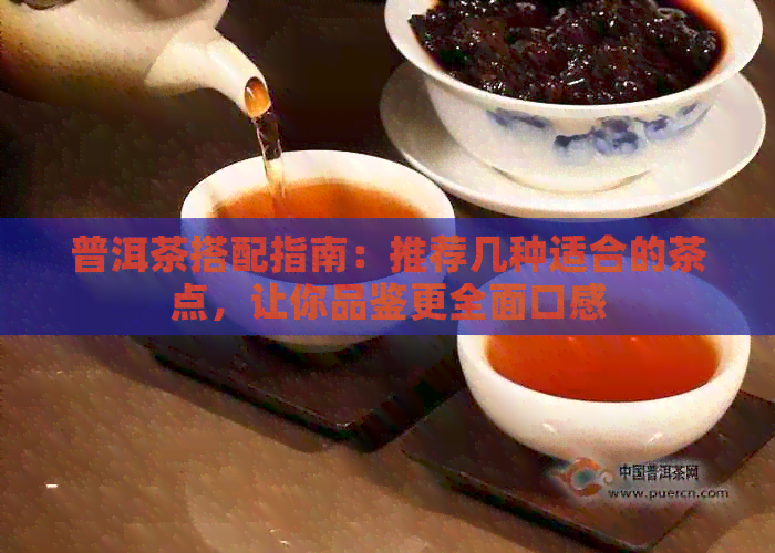 普洱茶搭配指南：推荐几种适合的茶点，让你品鉴更全面口感