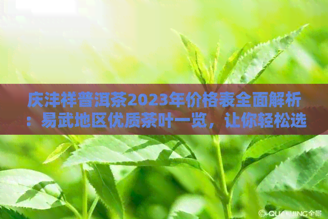 庆沣祥普洱茶2023年价格表全面解析：易武地区优质茶叶一览，让你轻松选购