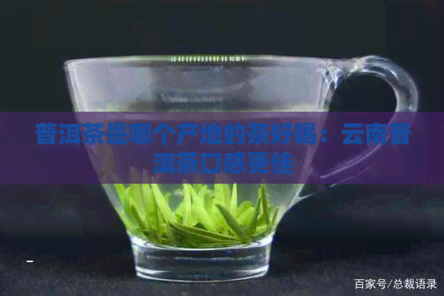 普洱茶是哪个产地的茶好喝：云南普洱茶口感更佳