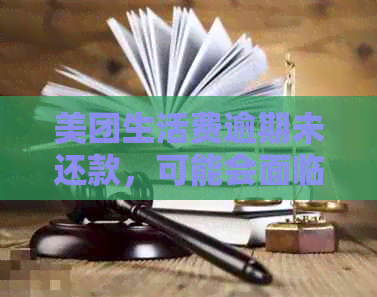 美团生活费逾期未还款，可能会面临的法律风险及解决办法