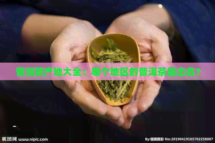 普洱茶产地大全：哪个地区的普洱茶最出名？