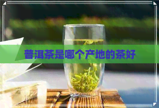 普洱茶是哪个产地的茶好