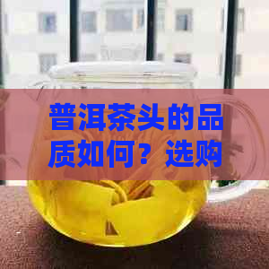 普洱茶头的品质如何？选购与保存方法全解析