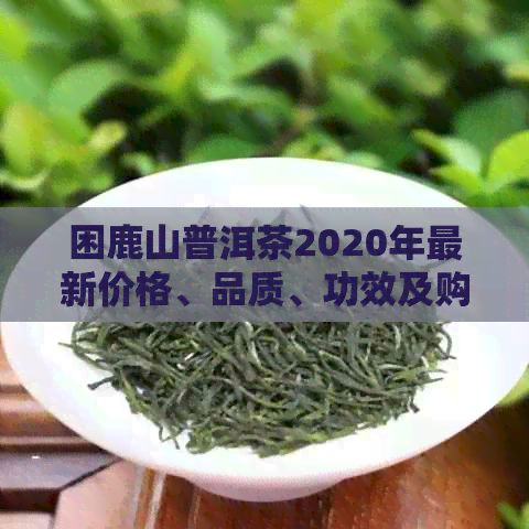 困鹿山普洱茶2020年最新价格、品质、功效及购买指南全解析