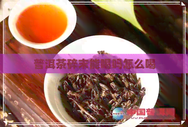 普洱茶碎末能喝吗怎么喝