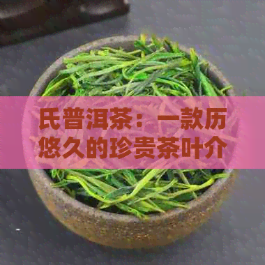 氏普洱茶：一款历悠久的珍贵茶叶介绍