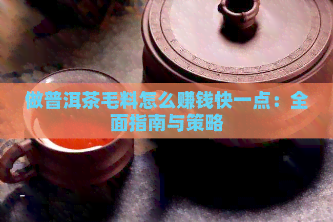 做普洱茶毛料怎么赚钱快一点：全面指南与策略