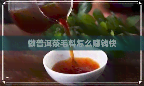 做普洱茶毛料怎么赚钱快