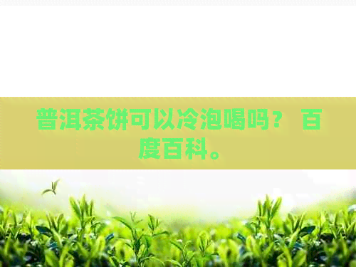 普洱茶饼可以冷泡喝吗？ 百度百科。