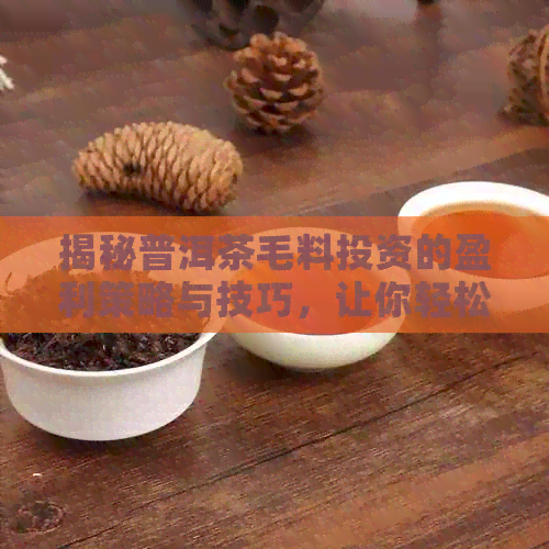 揭秘普洱茶毛料投资的盈利策略与技巧，让你轻松赚取高额利润