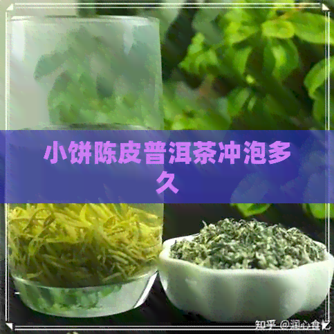 小饼陈皮普洱茶冲泡多久