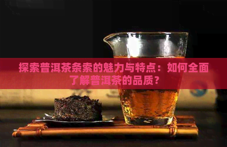 探索普洱茶条索的魅力与特点：如何全面了解普洱茶的品质？