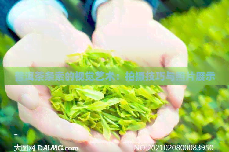 普洱茶条索的视觉艺术：拍摄技巧与照片展示