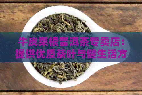 牛皮菜根普洱茶专卖店：提供优质茶叶与健生活方式的选择