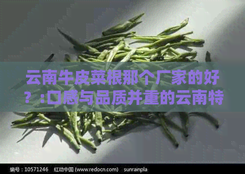 云南牛皮菜根那个厂家的好？:口感与品质并重的云南特产牛皮菜根厂家推荐